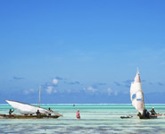 Dar es Salaam - Zanzibar, idyllic tropical island